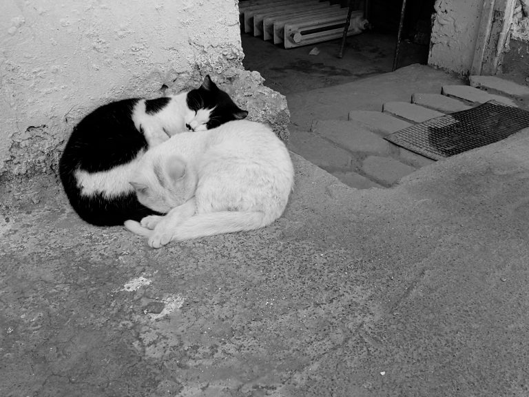 Street photo in Ashgabat, Turkmenistan by V. L.