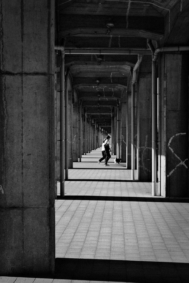 Photo by Kotaro Iochi