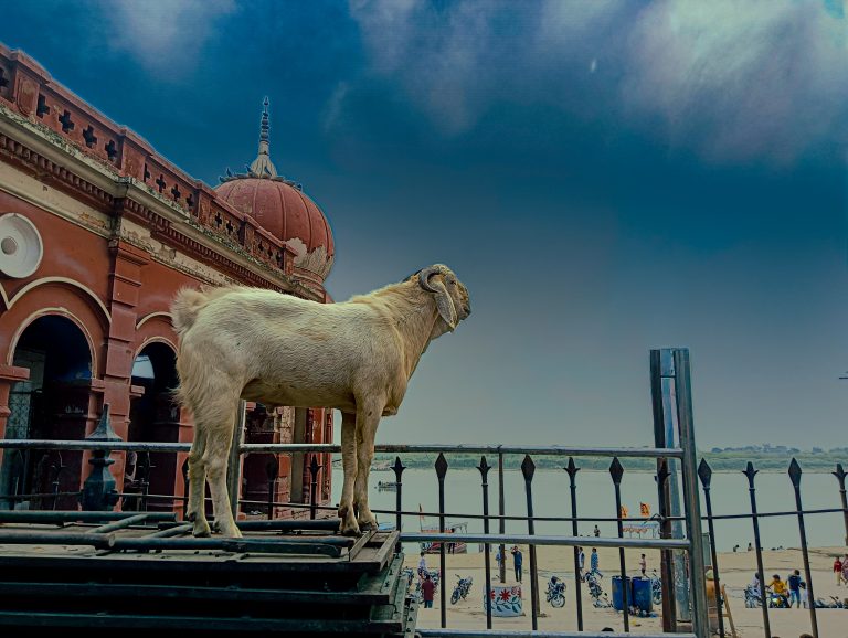 Photo by Aryan Yadav