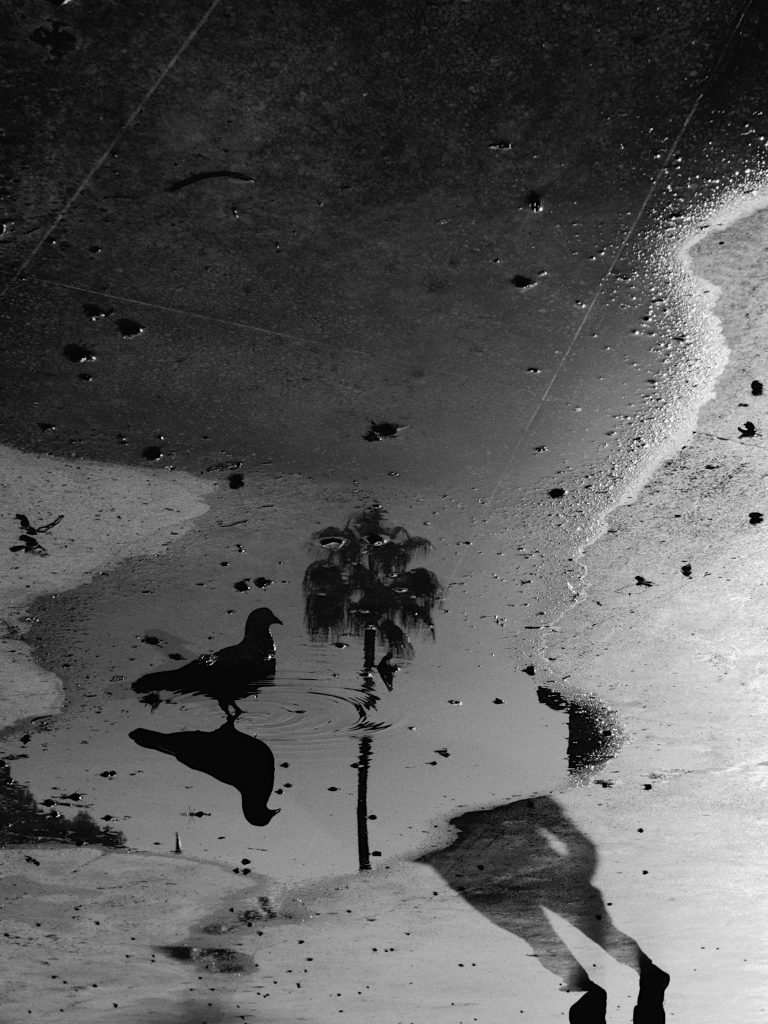 Photo by Pascal Hoerner