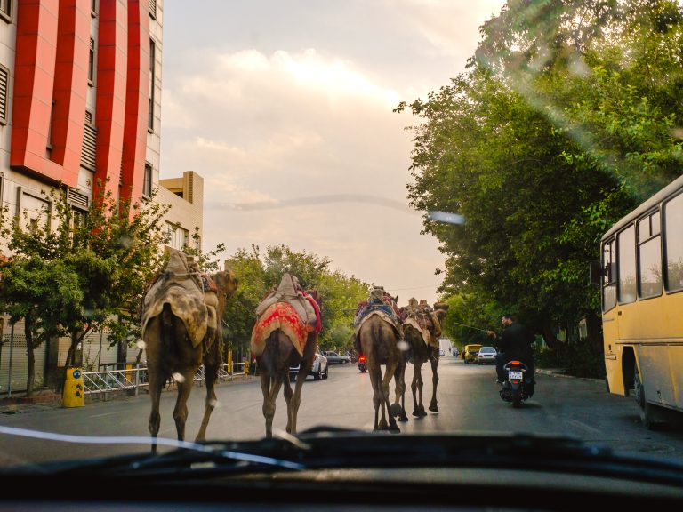 Photo by Amir Abbas Asadi