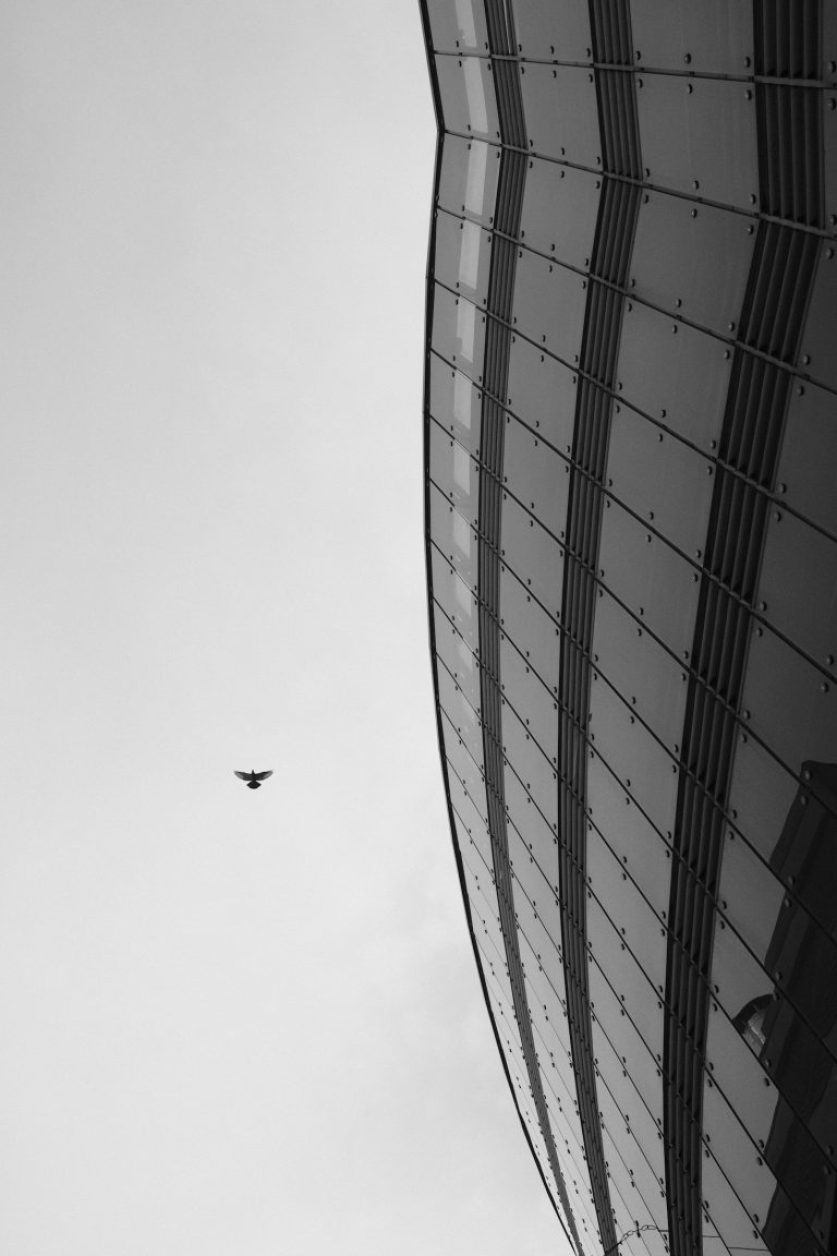 Photo by Sebastian Kleinfeld