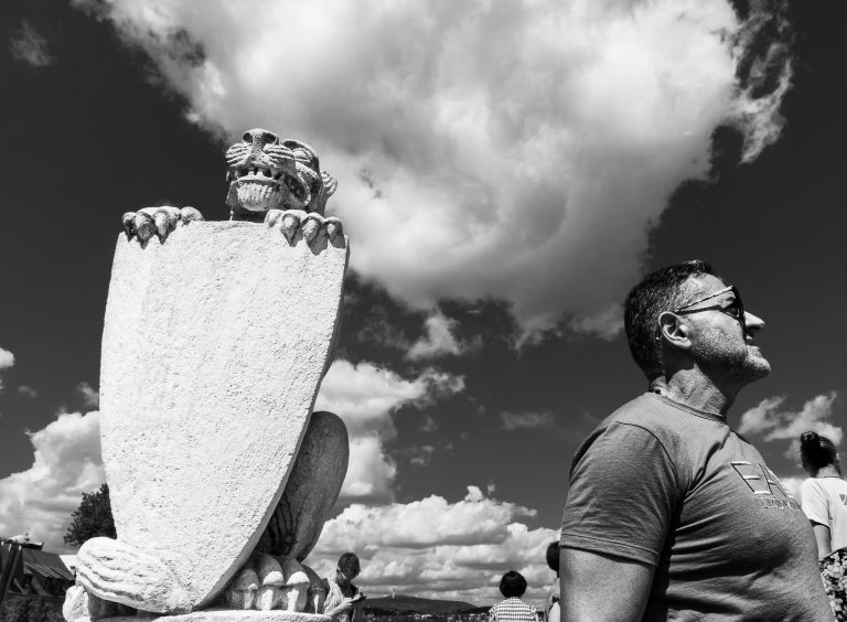 Photo by José Almeida