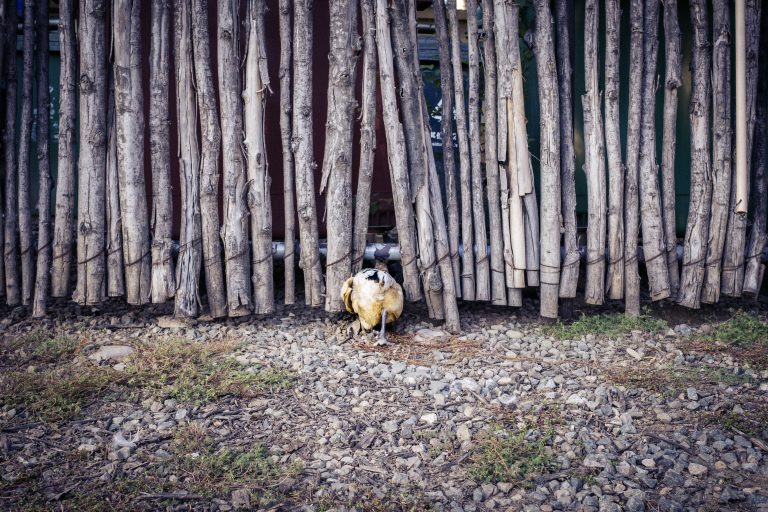 Photo by Alex 艾老师