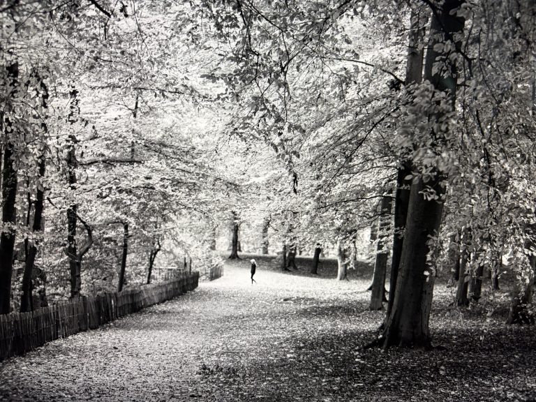 Photo by Sonja P. Panuska